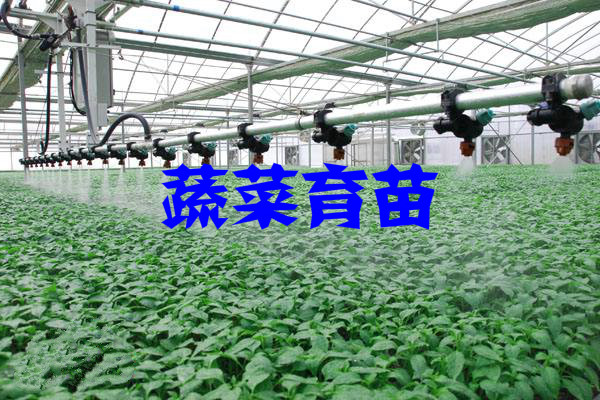 2-2003120916155R.jpg 2-2003120916155R.jpg