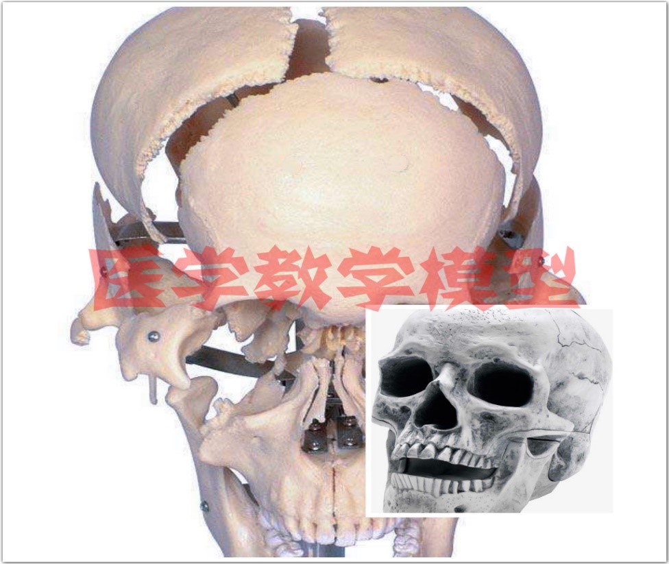 2-200324193133J9.jpg 2-200324193133J9.jpg