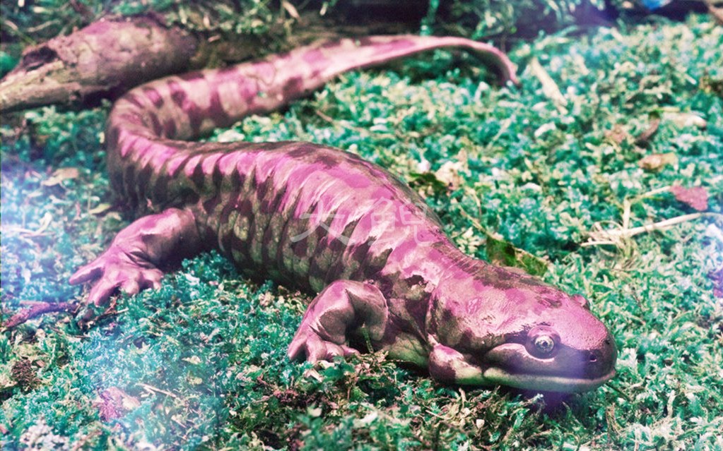 2-200331194013I3.jpg 2-200331194013I3.jpg