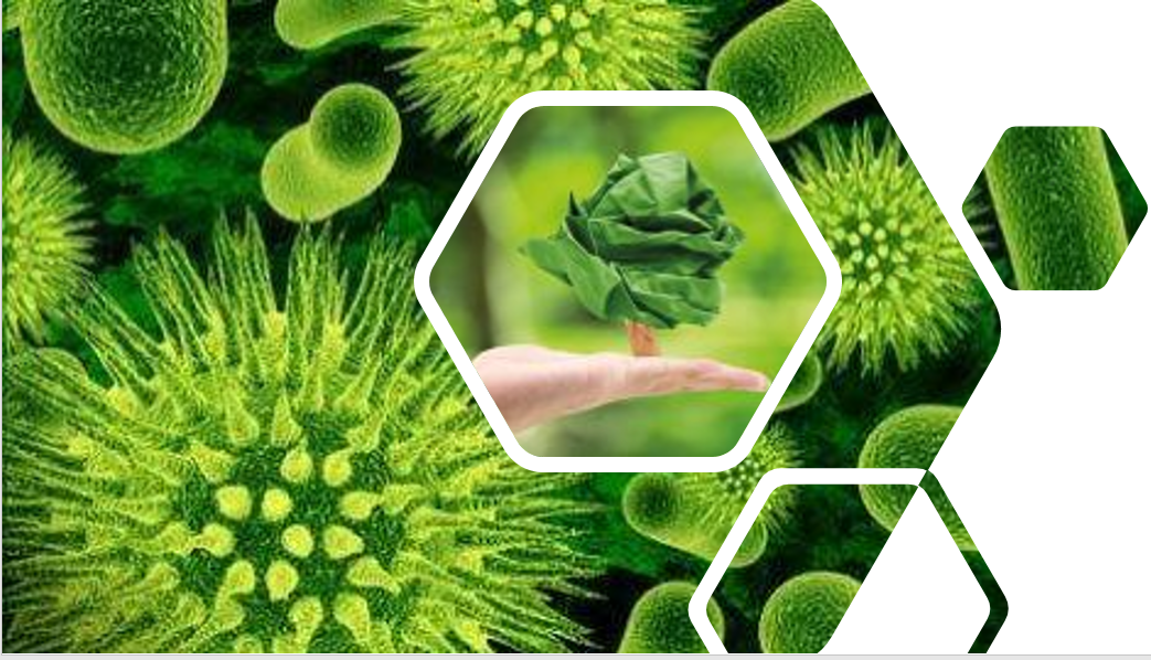 2-200ZQ1321R54.png 2-200ZQ1321R54.png