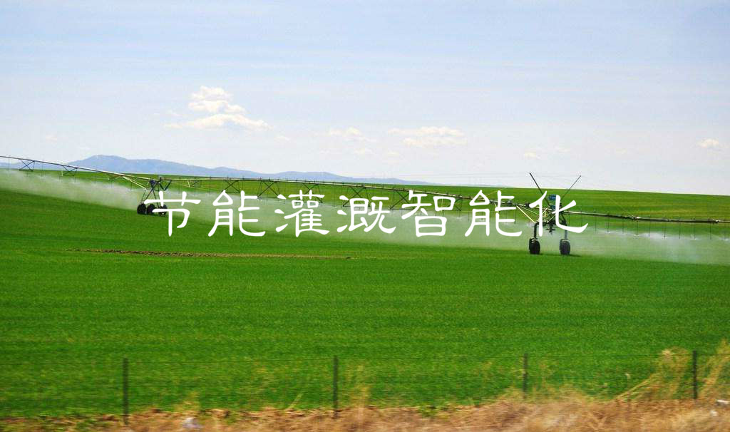 2-20092ZSJ2a7.jpg 2-20092ZSJ2a7.jpg