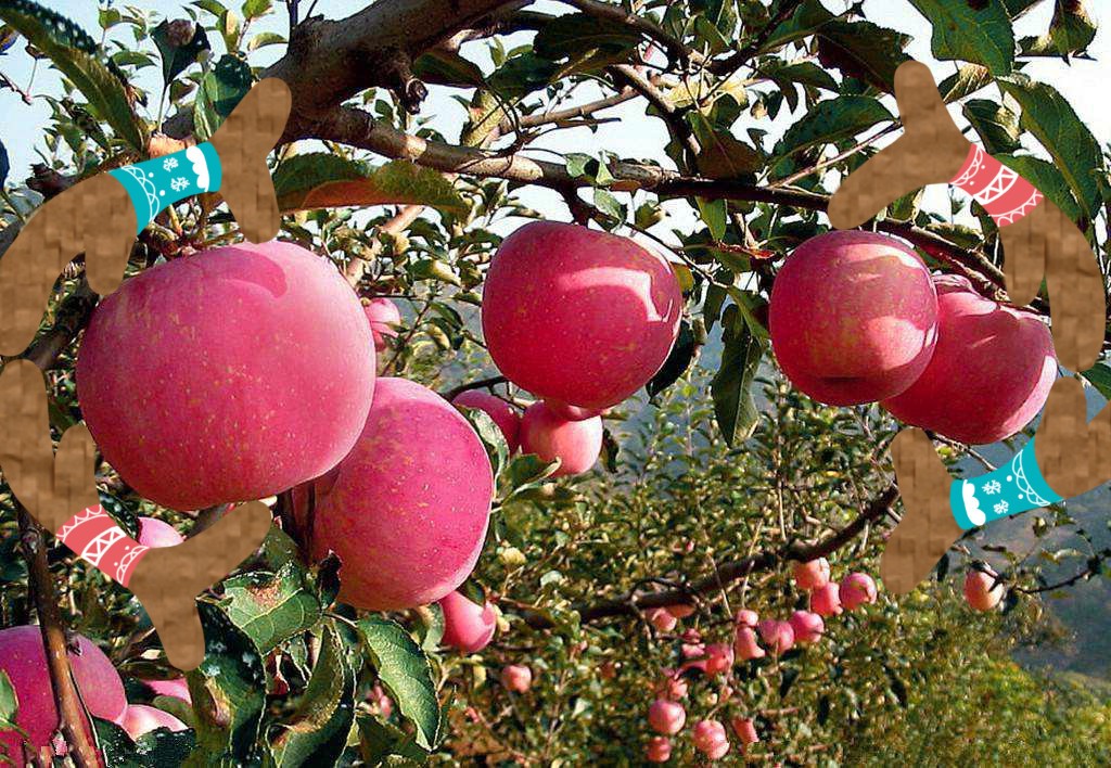 2-201114113029423.jpg 2-201114113029423.jpg