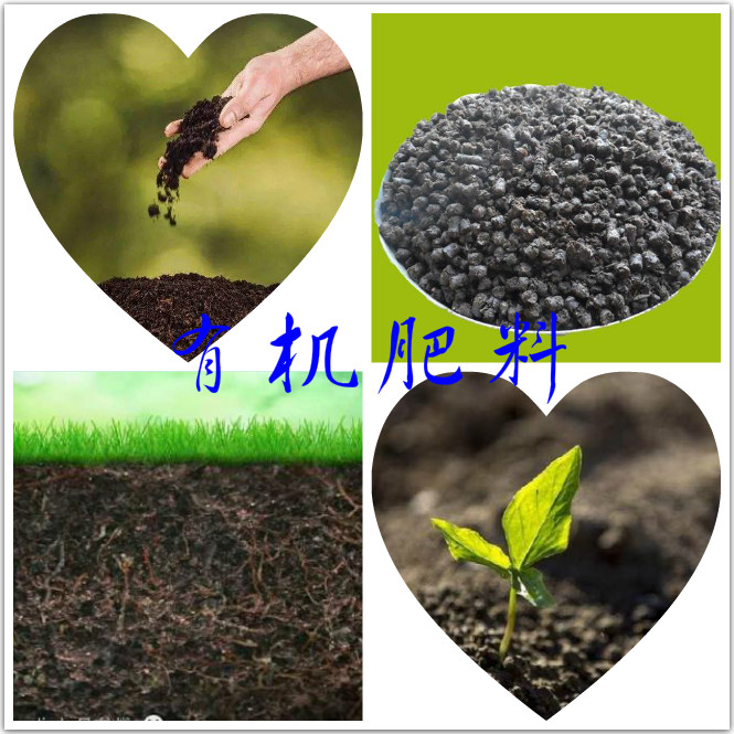 2-20111Z9455K20.jpg 2-20111Z9455K20.jpg