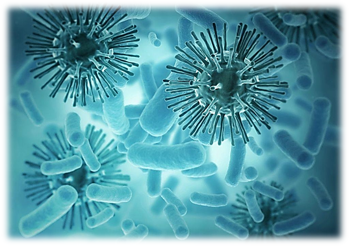 2-210519101111R1.png 2-210519101111R1.png