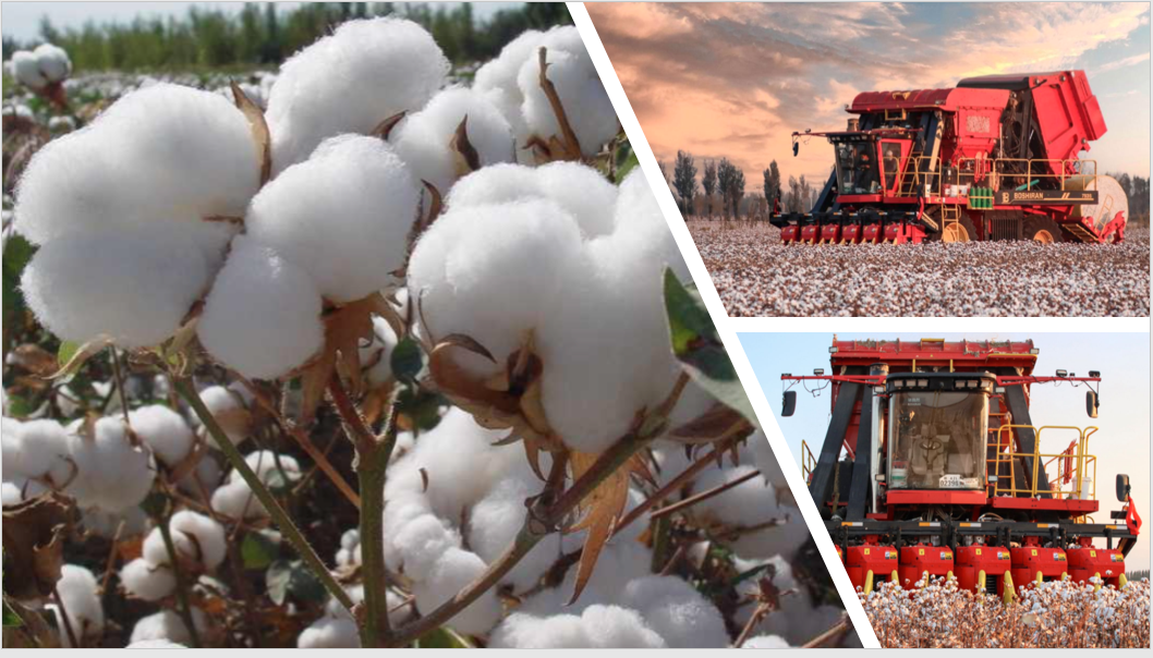 2-21052PT923I2.png 2-21052PT923I2.png