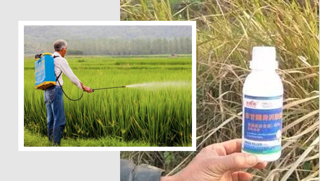 2-2106220TT1H2.png 2-2106220TT1H2.png