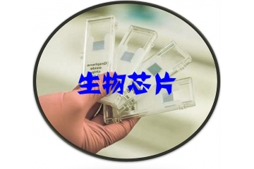 生物芯片行业技术发展水平分析（附报告目录）