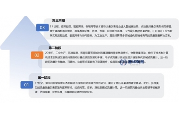 流量仪表行业深度剖析：发展脉络、趋势特征与企业竞争态势