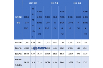 智慧水电爆发前夜：十五五规划重塑能源格局