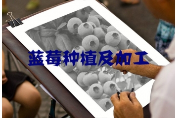 制约我国蓝莓行业因素与市场化程度分析（附报告目录）