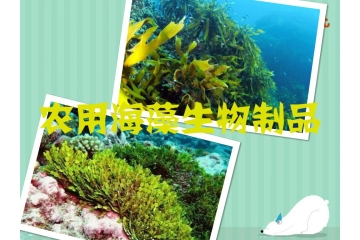 农用海藻生物制品行业发展趋势与前景分析（附报告目录）