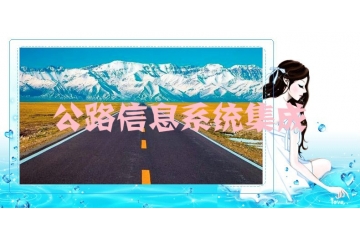 公路信息系统集成行业竞争格局构成与展望（附报告目录）