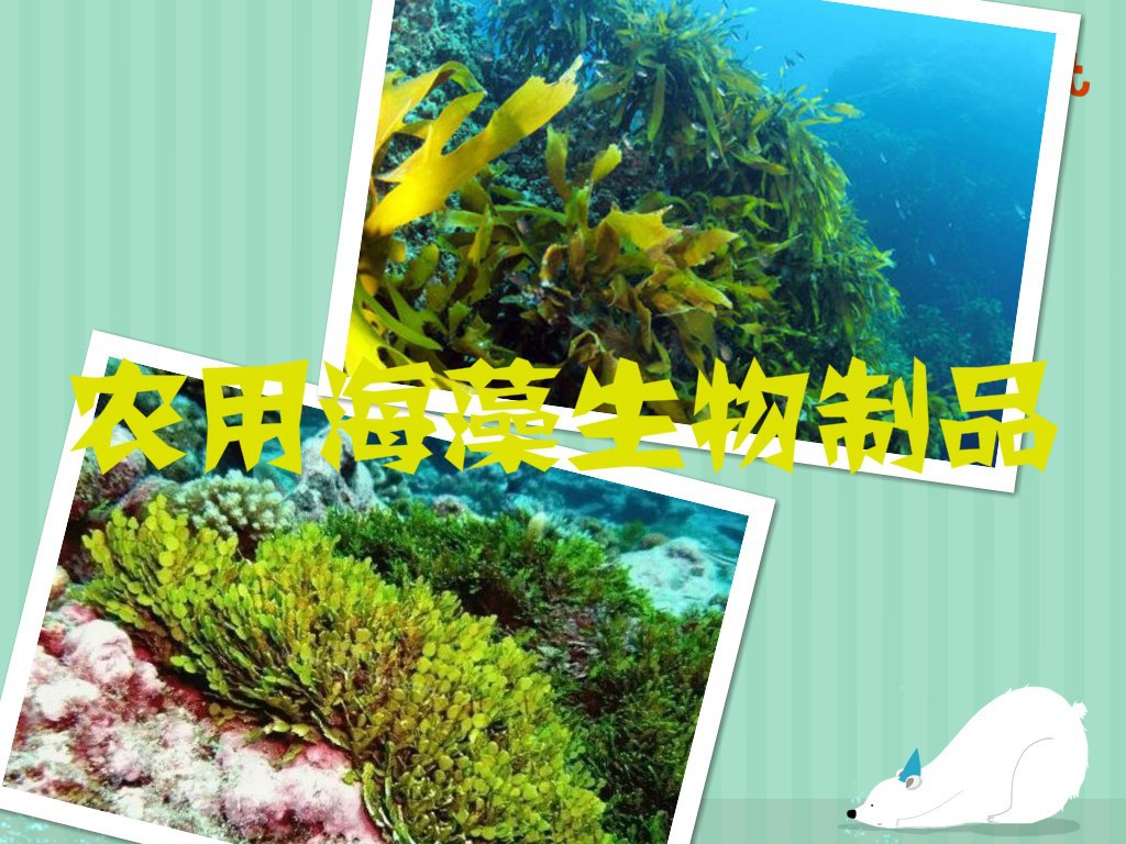 农用海藻生物制品行业发展趋势与前景分析（附报告目录）(图1)