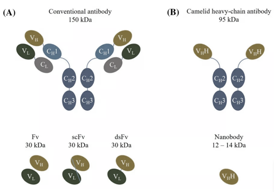 2-22111520260TZ.png 2-22111520260TZ.png