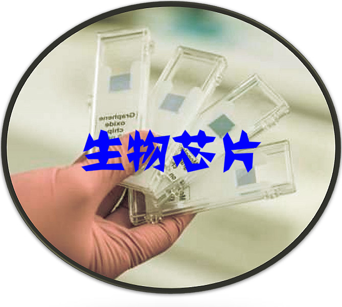 2020-2026年中国生物芯片产业链发展情况及投资可行性研究报告(图1)